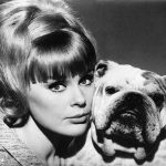Elke Sommer Plastic Surgery and Body Measurements
