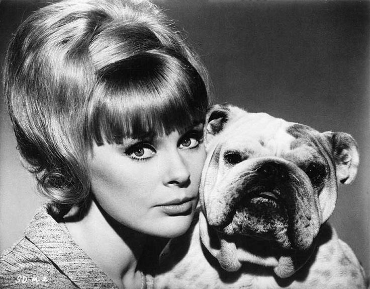 Elke Sommer Plastic Surgery and Body Measurements