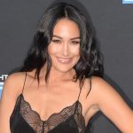 Brie Bella Plastic Surgery