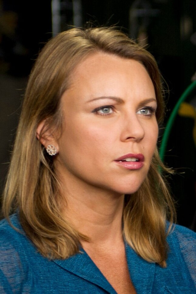 Lara Logan Cosmetic Surgery Face