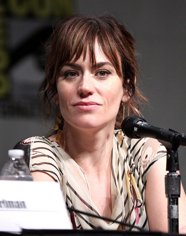 Maggie Siff Cosmetic Surgery Face