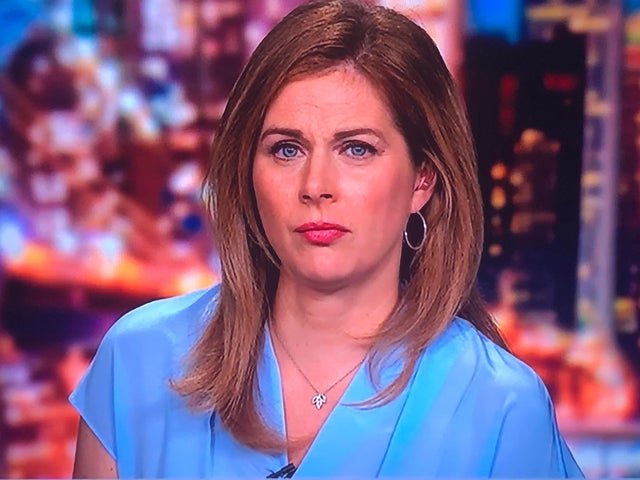 Erin Burnett Plastic Surgery and Body Measurements