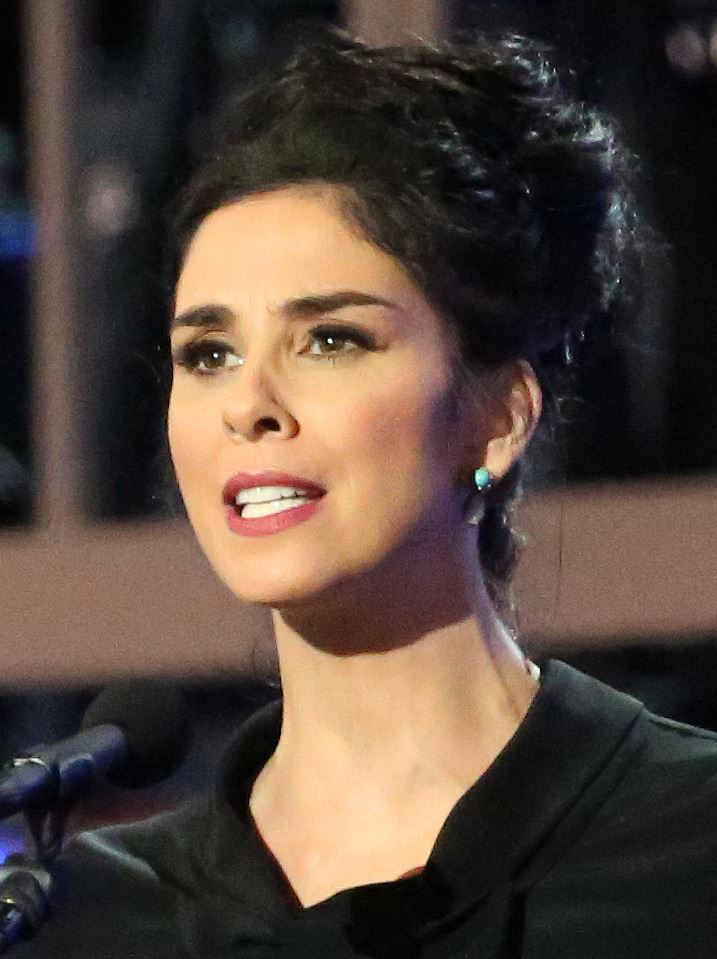 Sarah Silverman Cosmetic Surgery Face