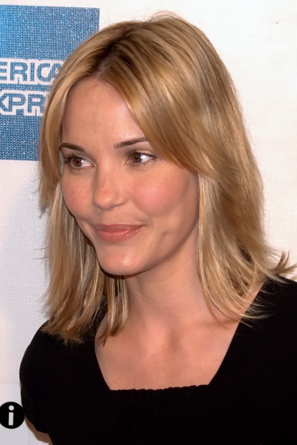 Leslie Bibb Cosmetic Surgery Face