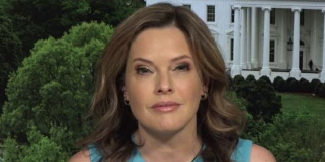 Mercedes Schlapp Plastic Surgery Face