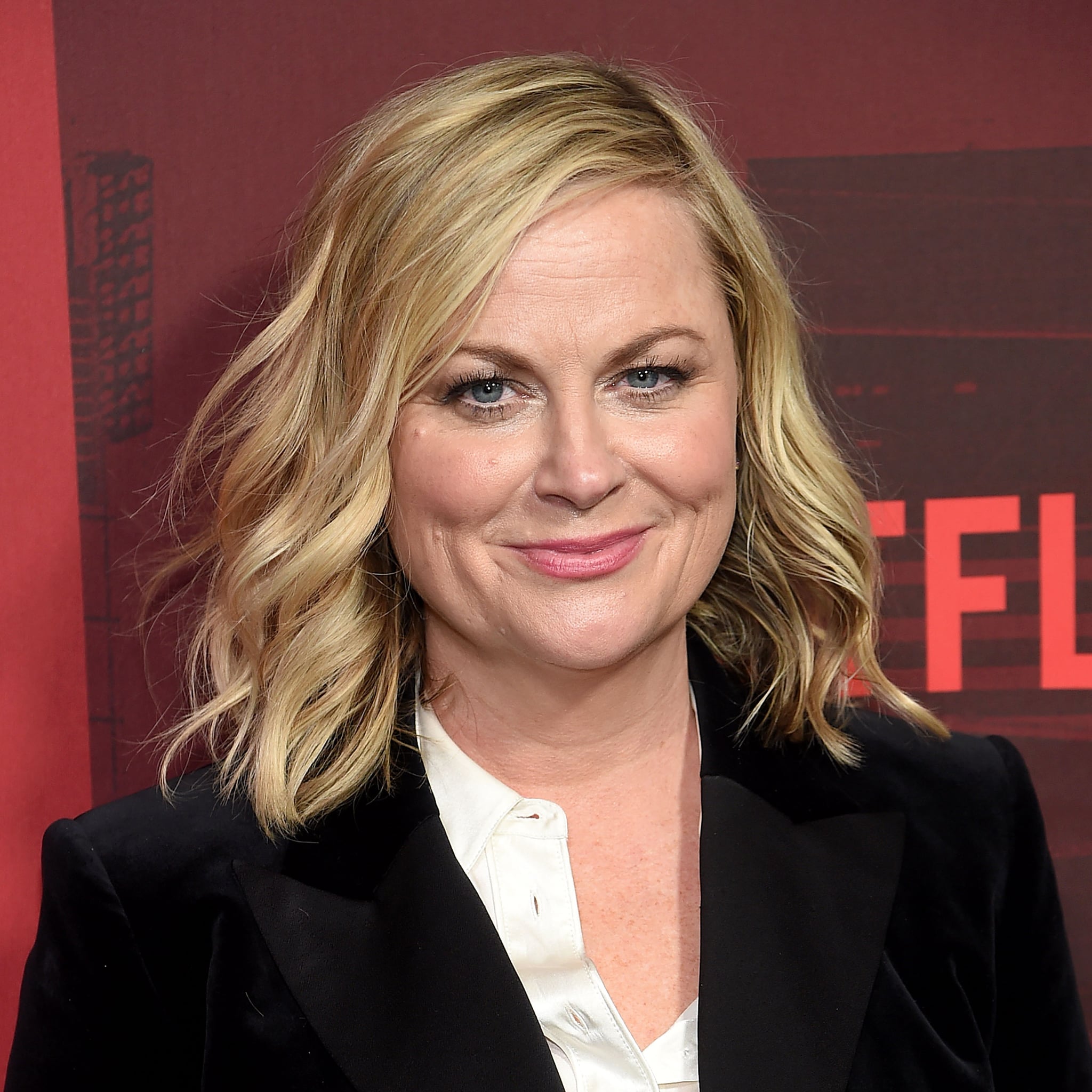 Amy Poehler Plastic Surgery Face