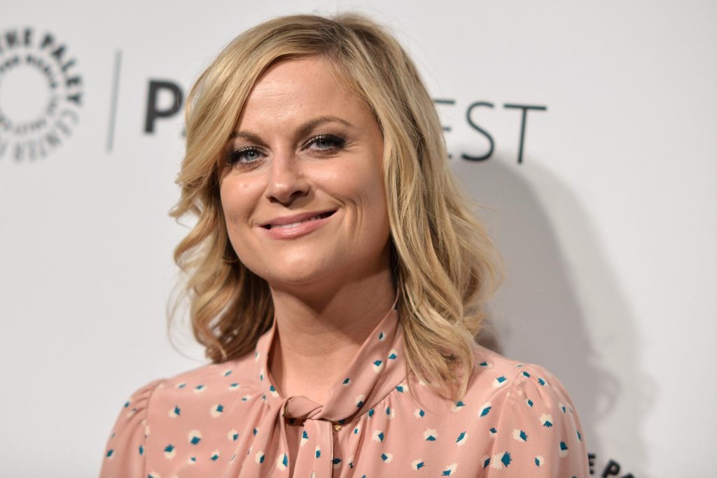 Amy Poehler Plastic Surgery and Body Measurements