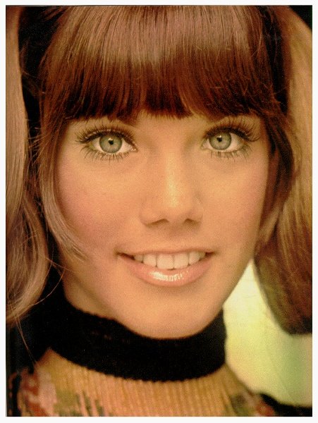 Barbi Benton Cosmetic Surgery Face