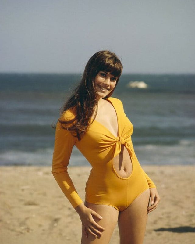 Barbi Benton Plastic Surgery Body