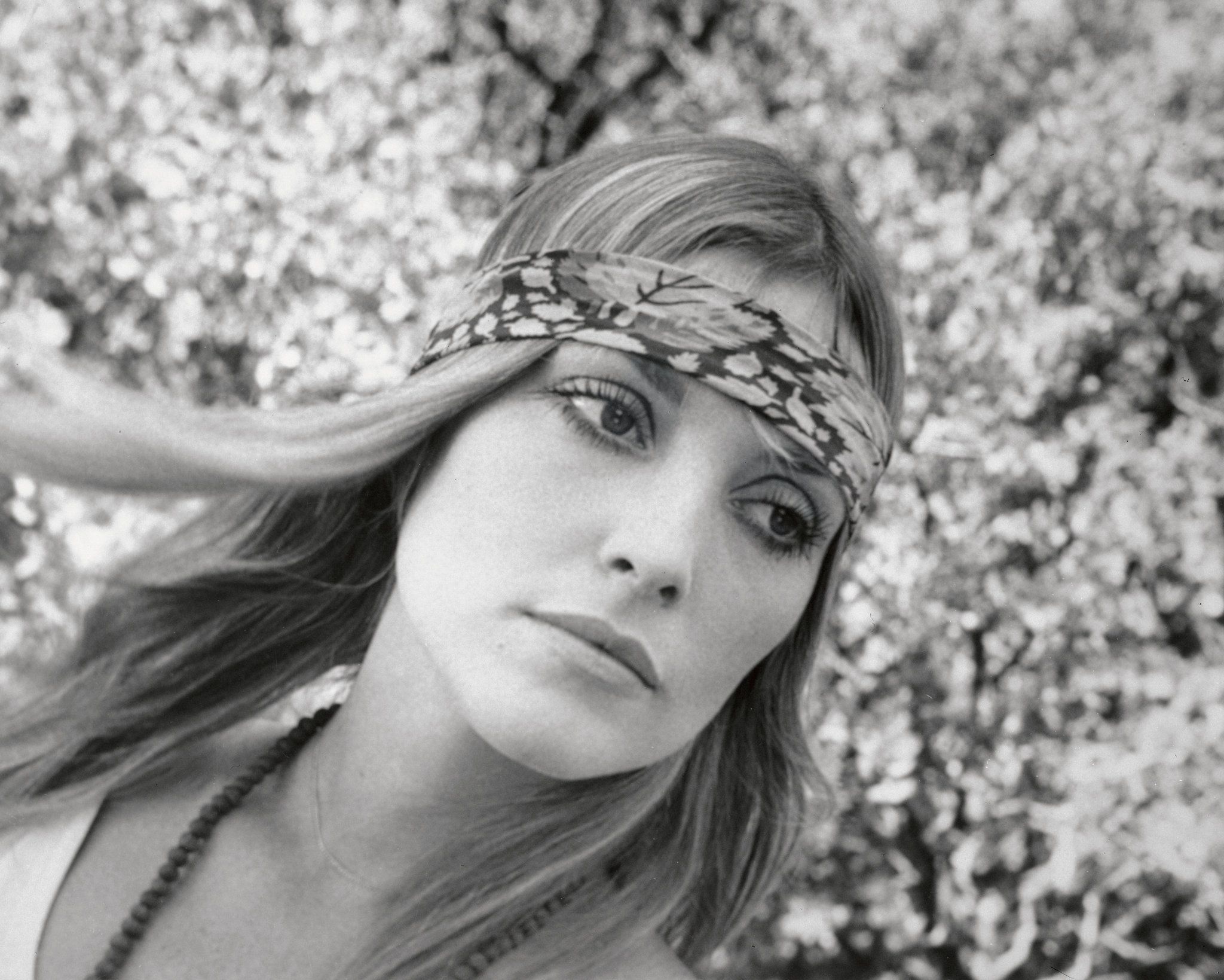 Sharon Tate Plastic Surgery Face