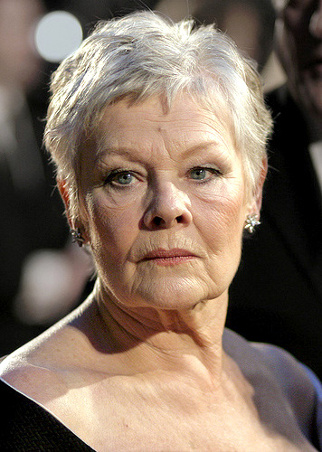 Judi Dench Plastic Surgery Face