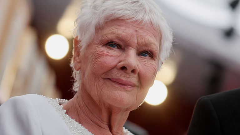 Judi Dench Plastic Surgery Procedures