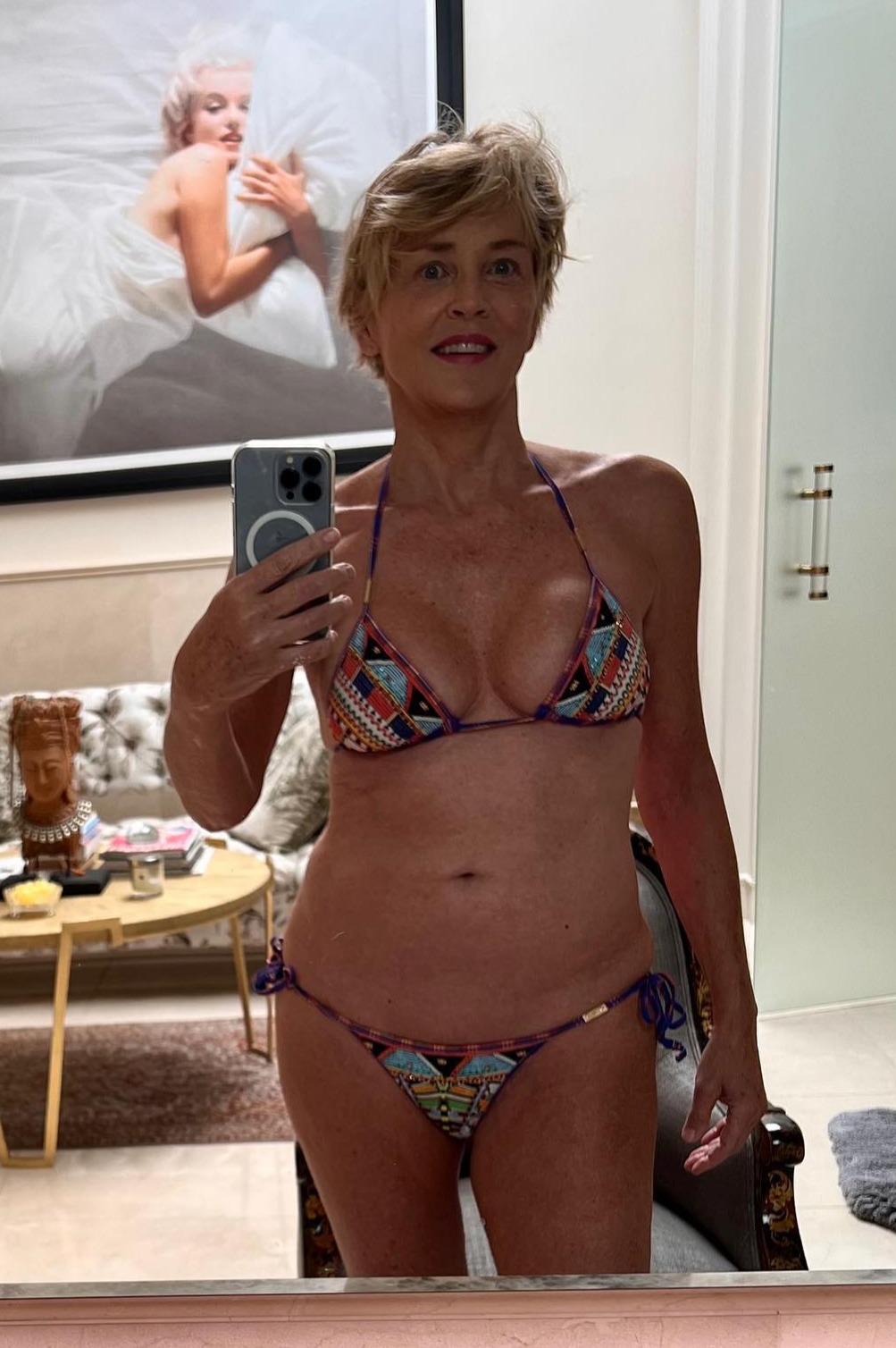 Sharon Stone Plastic Surgery Body
