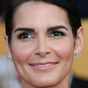 Angie Harmon Cosmetic Surgery Face